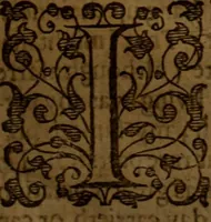 An illustration from The Christian conflict : a treatise shewing the difficulties and duties of this conflict .. (1635)