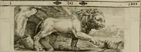 An illustration from Iconologia deorum, oder Abbildung der Götter : welche von den alten verehret Worden ; ais dem Welt-berümtesten Antichen der Griechischen und Römischen Statuen, auch in Marmel, Porfido-Stein, Metall, Agat, Onyx, Sardonich und andren Edelsteinen befindlichen Bildereyen, sorgfältig abgesehen, samt dero eigentlicher Beschreibung und Erklärung der Heidnischen Tempel-Ceremonien, auch Vorbildung der thiere und anderer Sachen, die auf hieroglyphische und emblematische Art, nach Weise der Egyptischen Schrifften, schicklich können vorgebracht und auf einen gewissen Verstand gerichtet werden ; deme allem vorgefügt ist, des durchleuchtigen Palm-Ordens der Hochlöbl. fruchtbringenden Gesellschaft auf dem Parnass aufgestellter ehren-Tempel (1680)
