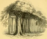 An illustration from Christianity in Ceylon : its introduction and progress under the Portuguese, the Dutch, the British, and American missions; with an historical sketch of the Brahmanical and Buddhist superstitions (1850)