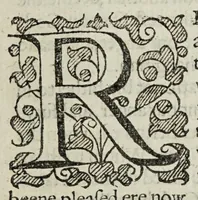 An illustration from The Christian knight (1619)