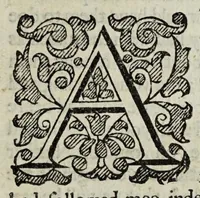 An illustration from The Christian knight (1619)