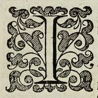 An illustration from The Christian knight (1619)