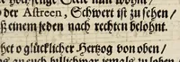 An illustration from Christiano-Albertinae inauguratio (1665)