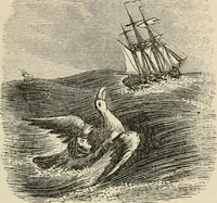 An illustration from Christian similitudes: being a series of emblematic engravings, with written explanations, miscellaneous observations, and religious reflections, designed to illustrate divine truth, in accordance with the cardinal principles of Christianity .. (1866)