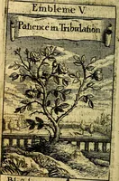 Picture 6 of 14 from The Christians zodiake, or, Twelue signes of predesination unto life euerlasting (1647), leaf 87