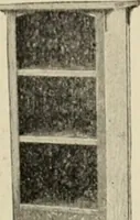 An illustration from Christmas gifts. (1903)