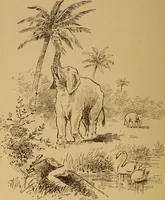 An illustration from Christolution with its evolution illustrations (1894)