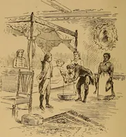 An illustration from Christolution with its evolution illustrations (1894)