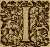 An illustration from Christ on his throne, or, Christ's church government briefly laid down, and how it ought to bee set up in all Christian congregations : resolved in sundry cases of conscience (1640)