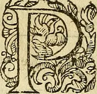 An illustration from Christophori Clavii Bambergensis ex Societate Jesu : in sphaeram Joannis de Sacro Bosco commentarius (1602)