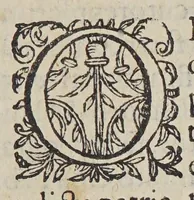 An illustration from Christophori a Costa, medici et cheirurgi Aromatum & medicamentorum in Orientali Jndia nascentium liber : plurimum lucis adferens iis quae à Doctore Garcia de Orta in hoc genere scripta sunt. (1582)
