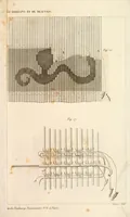 Picture 13 of 13 from Chromagraphie, ou, L'art de composer un dessin : à l'aide de lignes et de figures géométriques, et de l'imiter avec des matières colorées ... (1839), leaf 85