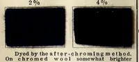 An illustration from Chrome colours for wool (1910)