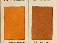 An illustration from Chromotaxia seu Nomenclator colorum polyglottus additis speciminibus coloratis ad usum botanicorum et zoologorum (1894)