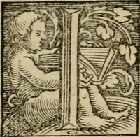 Picture 53 of 68 from Chronica (1532), leaf 153