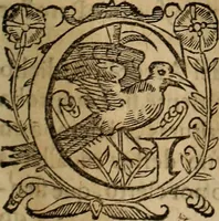 An illustration from Chronica del inclito Emperador de España, Don Alonso VII : deste nombre Rey de Castilla y Leon ... Sacada de vn libro mvy antigvo escrito de mano con letras de los Godos, por relacion de los mismos que lo vieron, y de muchas escrituras y priuilegios originales del mesmo Emperador, y otros (1600)