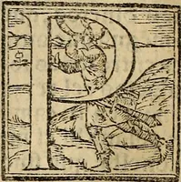 An illustration from Chronica del muy esclarecido Principe Rey don Alfonso el Onzeno deste nobre de los reyes que reynaron en Castilla y en Leon. Padre q fue del Rey don Pedro .. (1551)