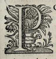 An illustration from Chronica del Rey D. Ioam I. de boa memoria, e dos reyes de Portugal o decimo : primeira[-terceira] parte : em que se contem a defensam do reyno atè ser eleito rey : offerecida a magestad del Rey Dom Ioam o IV. n. senhor de miraculosa memoria (1644)