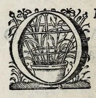 An illustration from Chronica del Rey D. Ioam I. de boa memoria, e dos reyes de Portugal o decimo : primeira[-terceira] parte : em que se contem a defensam do reyno atè ser eleito rey : offerecida a magestad del Rey Dom Ioam o IV. n. senhor de miraculosa memoria (1644)