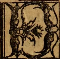 An illustration from Chronica del rey Don Rodrigo, con la destruycion de España, y como los moros la ganaron. Nueuam ante corregida. Contiene de mas de la historia muchas viuas razones, y auisos muy prouechosos (1587)