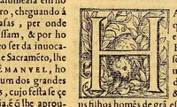 An illustration from Chronica do felicissimo rei Dom Emanuel, (1566)