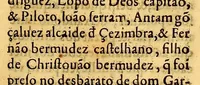 An illustration from Chronica do felicissimo rei Dom Emanuel, (1566)