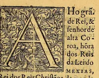 An illustration from Chronica do felicissimo rei Dom Emanuel, (1566)