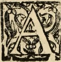 An illustration from Chronica dos valerosos e insignes feitos del Rey Dom IoÃ£o II, de gloriosa memoria, em que se refere, sua vida, suas virtudes, seu magnanimo esforÃ§o, excellentes costumes, e seu Christianissimo zelo (1622)
