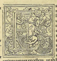 Picture 2 of 15 from Chronica regnorum aquilonarium Daniæ Suetiæ Noruagiæ (1548), leaf 188