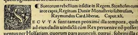 An illustration from Chronica regnorum aquilonarium Daniæ Suetiæ Noruagiæ (1548)
