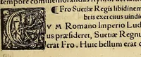 An illustration from Chronica regnorum aquilonarium Daniæ Suetiæ Noruagiæ (1548)
