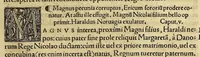 An illustration from Chronica regnorum aquilonarium Daniæ Suetiæ Noruagiæ (1548)