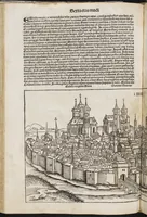 Picture 6 of 12 from Registrum huius operis Libri cronicarum cu[m] figuris et ÿmagi[ni]bus ab inicio mu[n]di., leaf 351