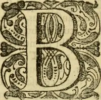 Picture 5 of 6 from Chronicon saxonicum : seu Annales rerum in Anglia præcique gestarum, a Christo nato ad annum usque MCLIV. deducti, ac jam demum latinitate donati. Cum indice rerum chronologico. Accedunt regulæ ad investigandas nominum locorum origines. Et nominum locorum ac virorum in chronico memoratorum explicatio (1692), leaf 18