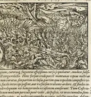 An illustration from Chronicorvm Tvrcicorvm, in quibus Tvrcorvm origo, principes, imperatores, bella, praelia, caedes, victoriae, reiqve militaris ratio, et caetera huc pertinentia ... exponuntur; et Mahometicae religionis instituta, iudiciorumq. processus, & aulae constitutio; procerum item ac populi mores, vitaeq. degendae ratio percensetur: accessere, Narratio de Baiazethis filiorvm seditionibvs; Tvrcicarvm item rerum epitome; ... et Iohannis Aventini Liber, in quo causae miseriarum, quibus Christiana respub. premitur, indicantur ... tomvs primvs (1578)