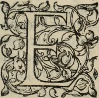 An illustration from Chronique bourdeloise (1594)