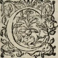 An illustration from Chronique bourdeloise (1594)