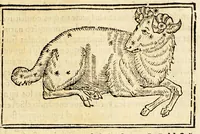 An illustration from Chronographia o reportorio de tiempos, el mas copioso y precisso, : que hasta ahora ha solido a luz. (1584)