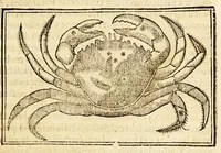 Picture 13 of 37 from Chronographia o reportorio de tiempos, el mas copioso y precisso, : que hasta ahora ha solido a luz. (1584), leaf 237