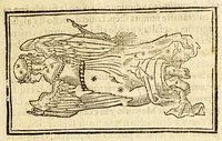 Picture 15 of 37 from Chronographia o reportorio de tiempos, el mas copioso y precisso, : que hasta ahora ha solido a luz. (1584), leaf 241