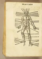 Picture 34 of 37 from Chronographia o reportorio de tiempos, el mas copioso y precisso, : que hasta ahora ha solido a luz. (1584), leaf 440