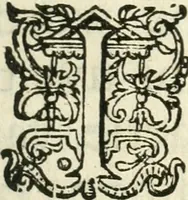 An illustration from Chronyck van Hollandt, Zeelandt, ende Westvrieslandt (1650)