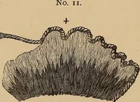 Picture 47 of 63 from Church embroidery, ancient and modern (1867), leaf 205