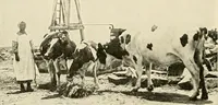 An illustration from The church on the changing frontier; a study of the homesteader and his church (1922)