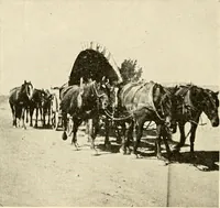 An illustration from The church on the changing frontier; a study of the homesteader and his church (1922)