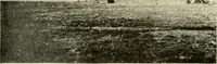 An illustration from The church on the changing frontier; a study of the homesteader and his church (1922)