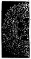 An illustration from Home work [microform] : a choice collection of useful designs for the crochet and knitting needle : also, valuable recipes for the toilet (1891)