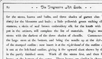 Picture 7 of 8 from The progressive art guide (without a teacher) [microform] : an entirely new method of self-instruction on modern arts, shown in their progressive stages of completion (1888), leaf 113