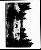 An illustration from The progressive art guide (without a teacher) [microform] : an entirely new method of self-instruction on modern arts, shown in their progressive stages of completion (1888)