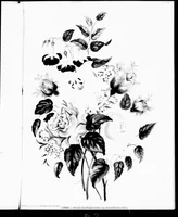 Picture 4 of 8 from The progressive art guide (without a teacher) [microform] : an entirely new method of self-instruction on modern arts, shown in their progressive stages of completion (1888), leaf 89